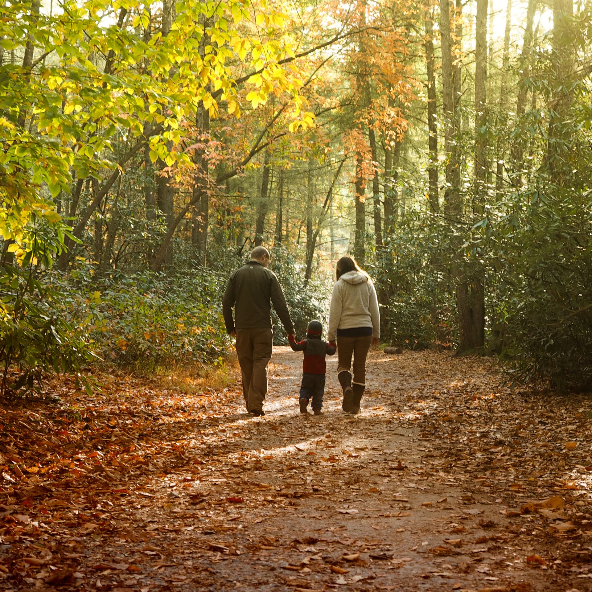 Untitled design - 2025-11-07T130250.756